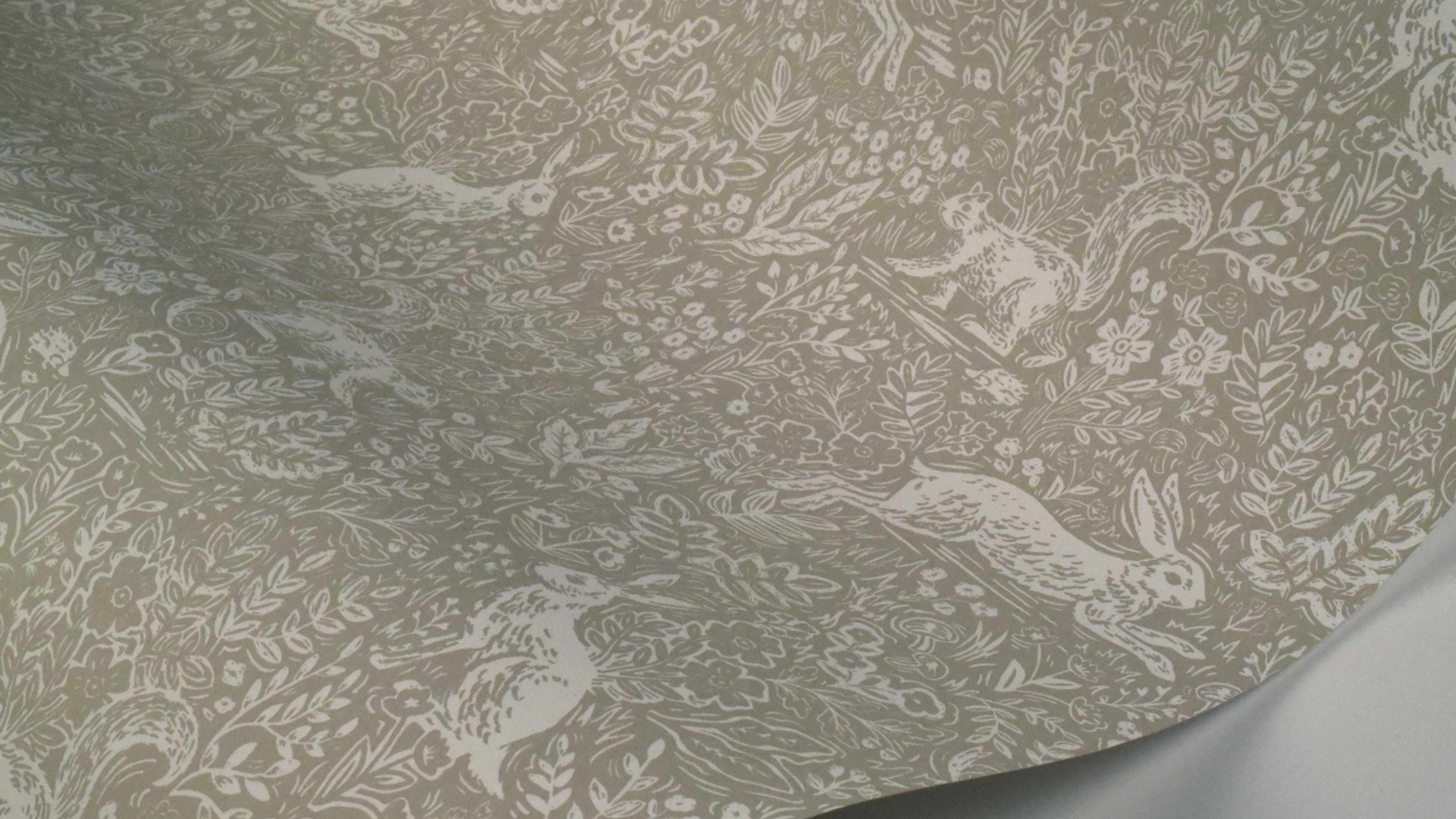 Why Put Up Wallpaper in Joplin, MO