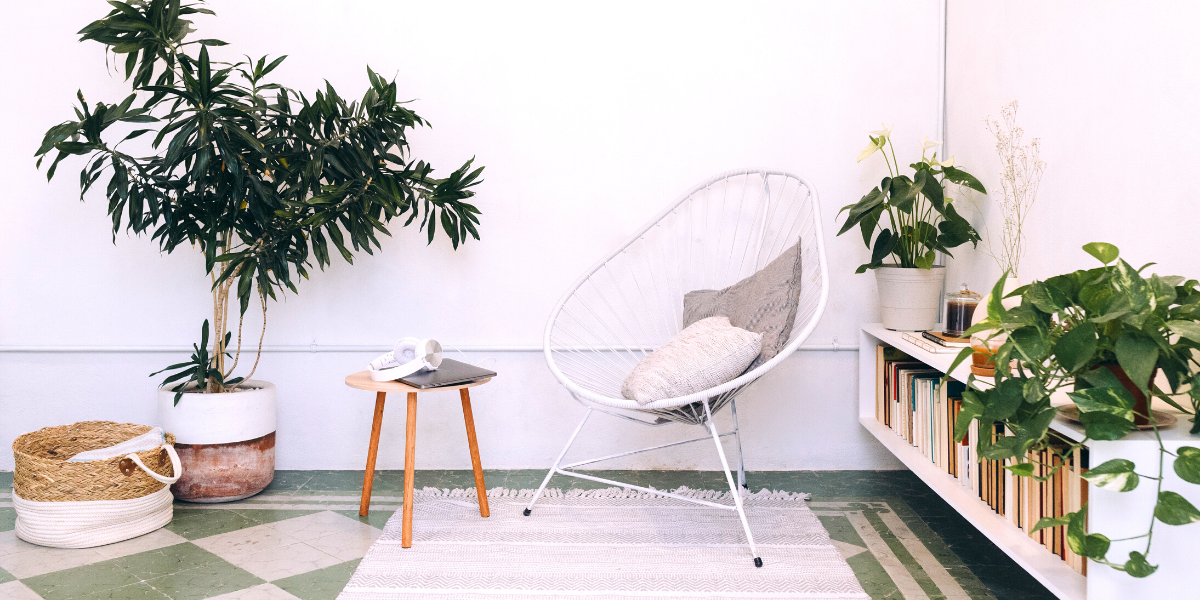 The benefits of using plants in Home Decoration